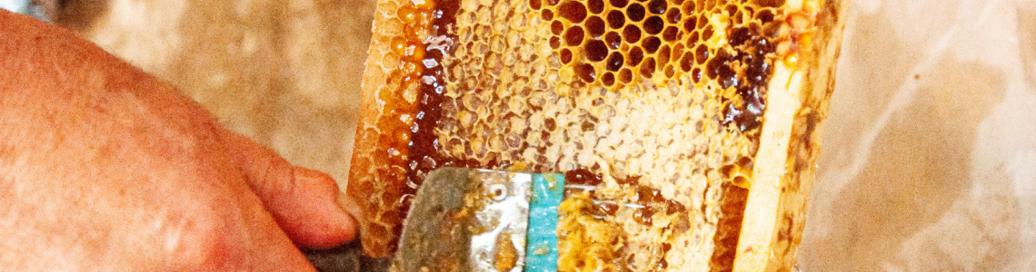 Gerçek Karakovan Balı: Kars’ın Yaylalarından Sofranıza Doğal Şifa Gerçek Karakovan Balı: Kars’ın Yaylalarından Sofranıza Doğal Şifa