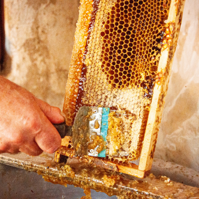 Gerçek Karakovan Balı: Kars’ın Yaylalarından Sofranıza Doğal Şifa